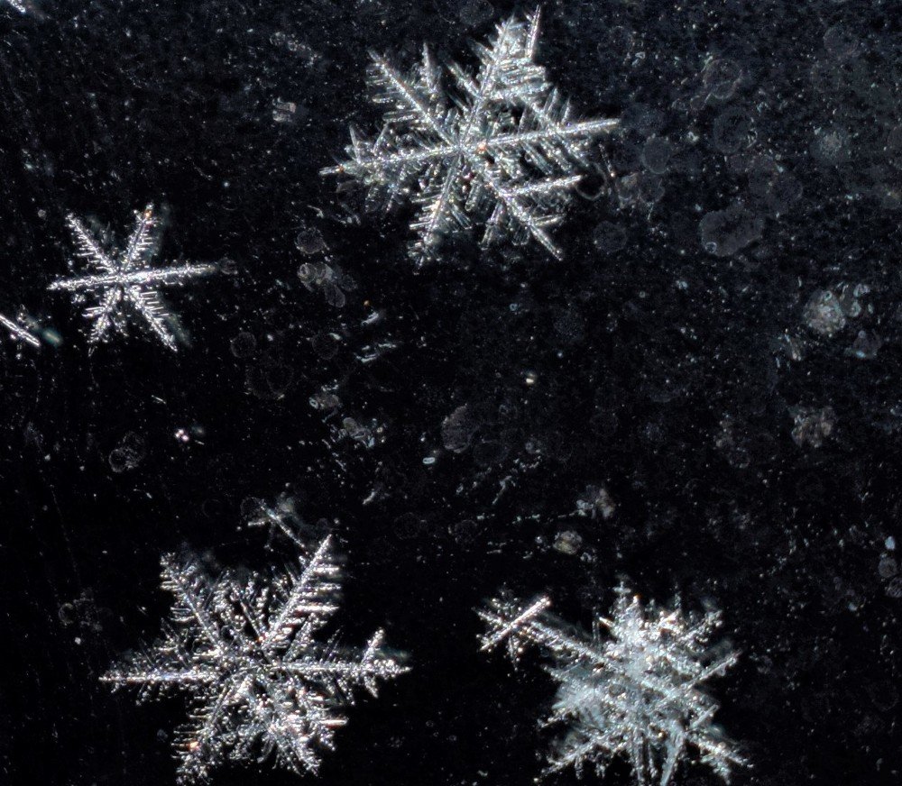 Фотография автора Алексей Усов