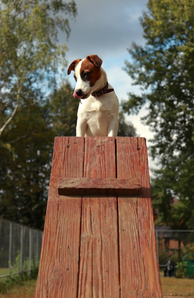 Photograph by Евгения Гудкова