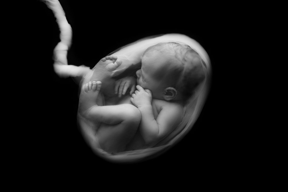 Photograph by Любовь Москвина