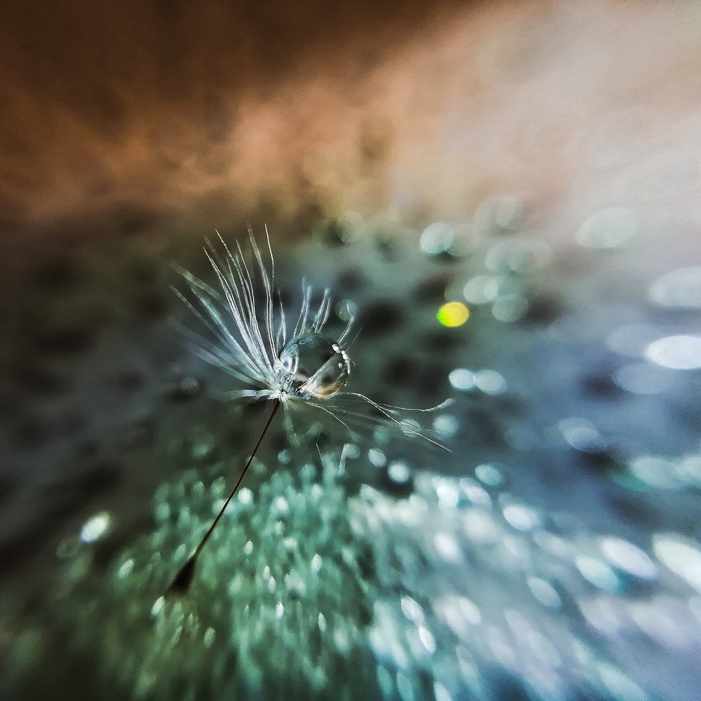 Photograph by Светлана Шибаршина