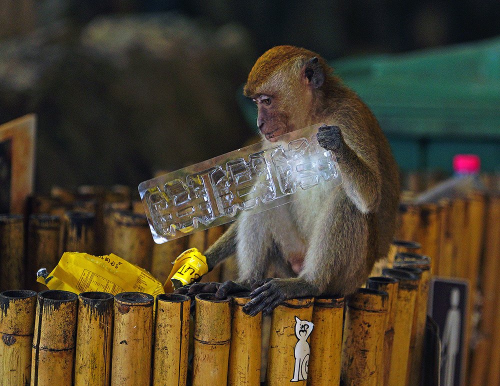 Photograph by Валерий Зарайсько