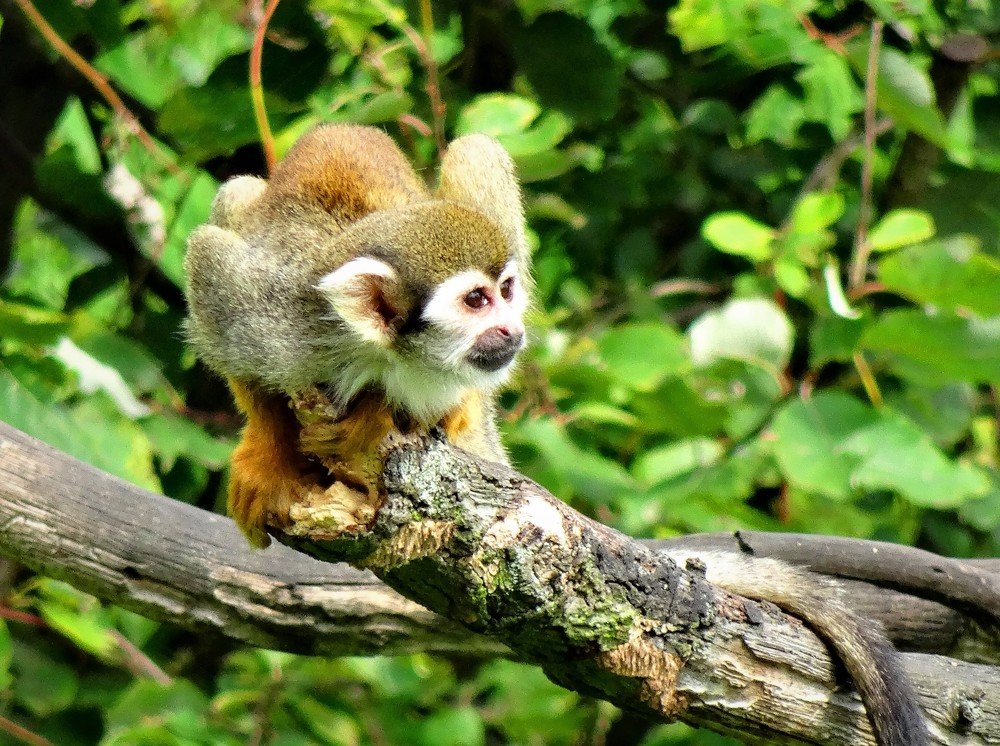 Photograph by Марина Раткун