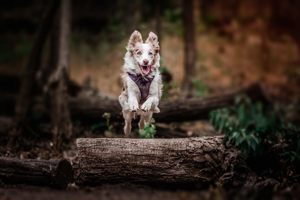 Photograph by Danae Soto Mustanen