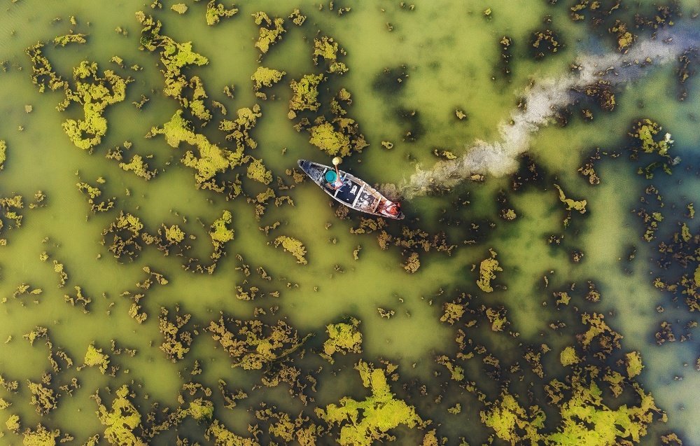 Photograph by avik saha