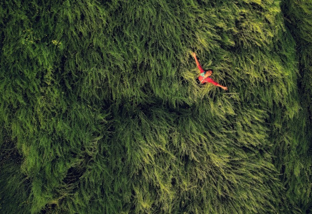 Photograph by avik saha