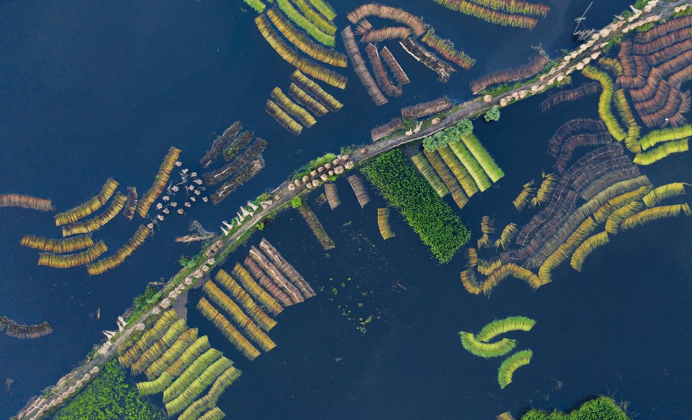 Photograph by avik saha