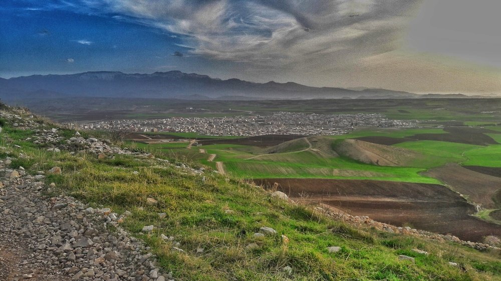 view