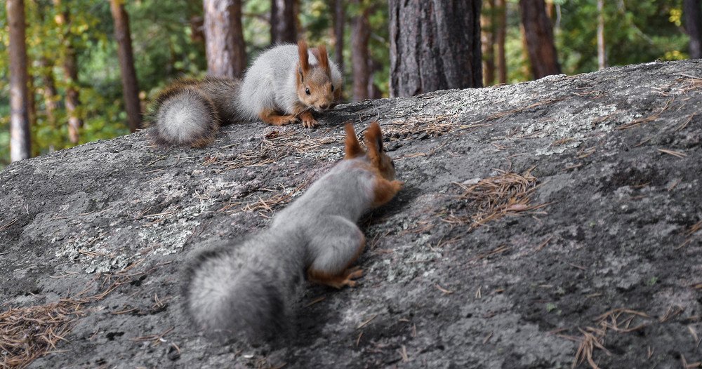 Photograph by Олег Беспалов