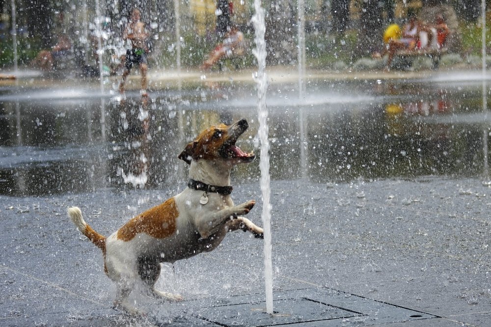 Поймать струю