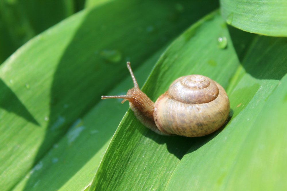 Photograph by Эльза Давлеева