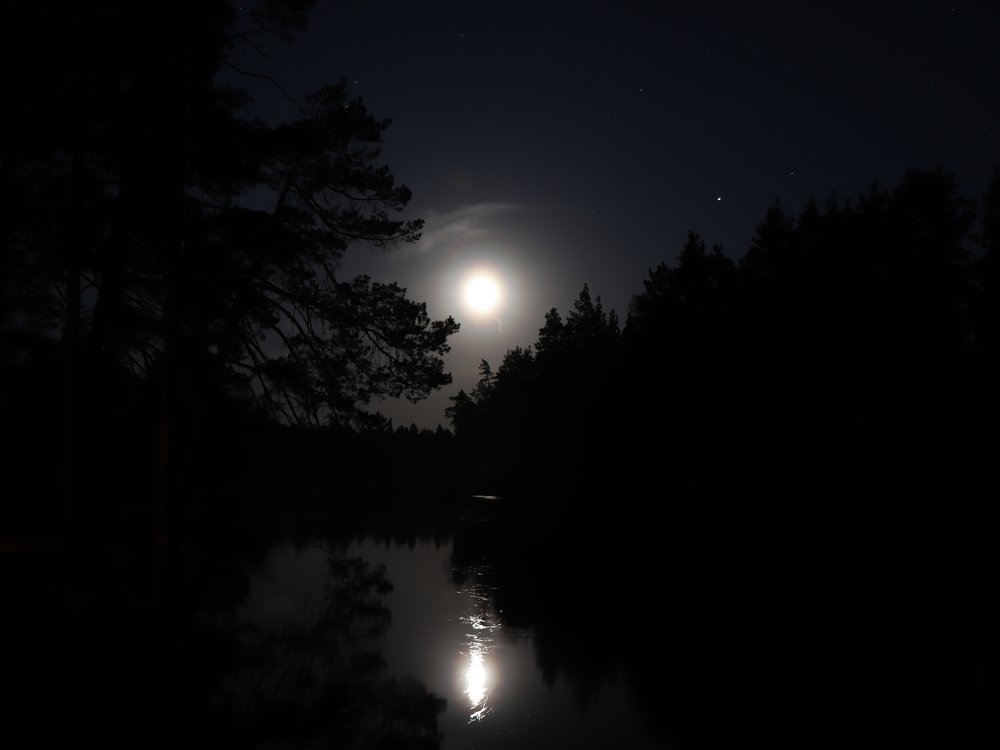 Photograph by Евгения