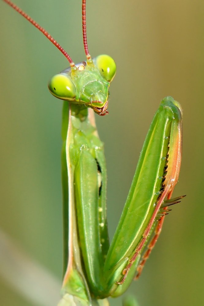 Photograph by Людмила Шалина