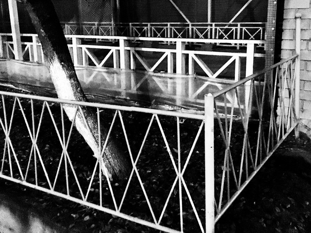 Photograph by Елена Ким