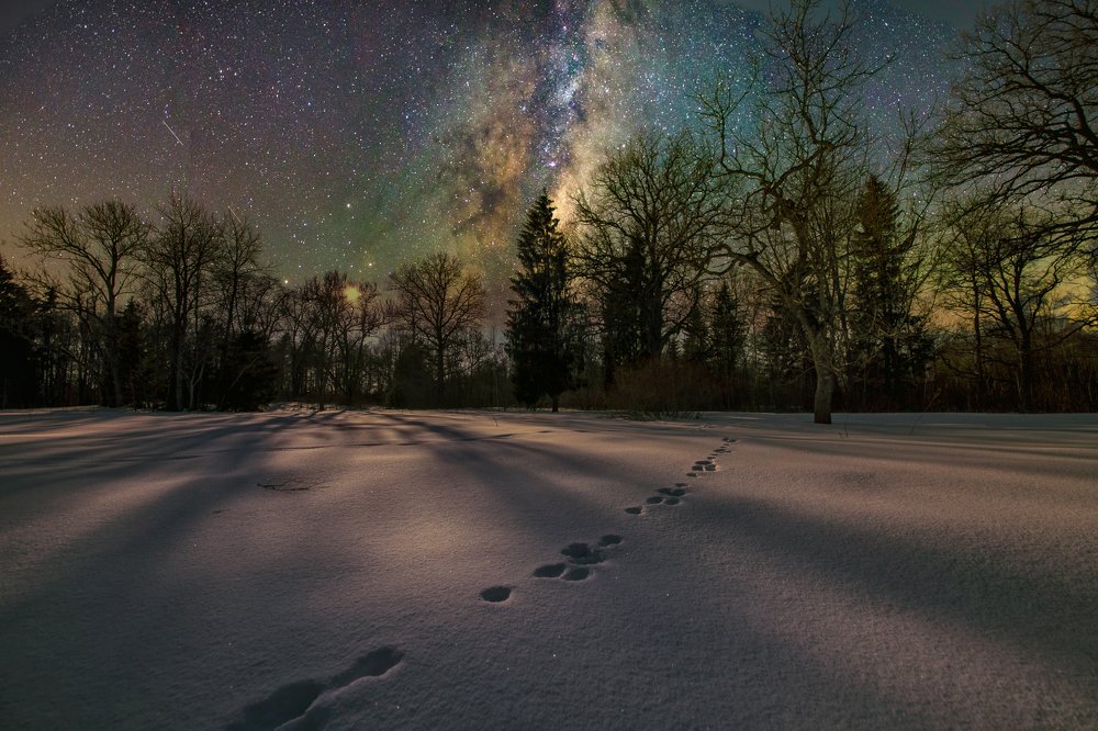 Photograph by Геннадий