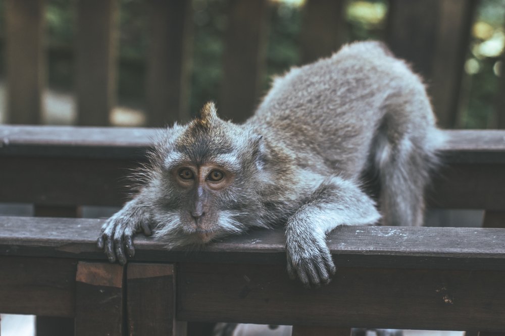 Photograph by Кристина Литвинова