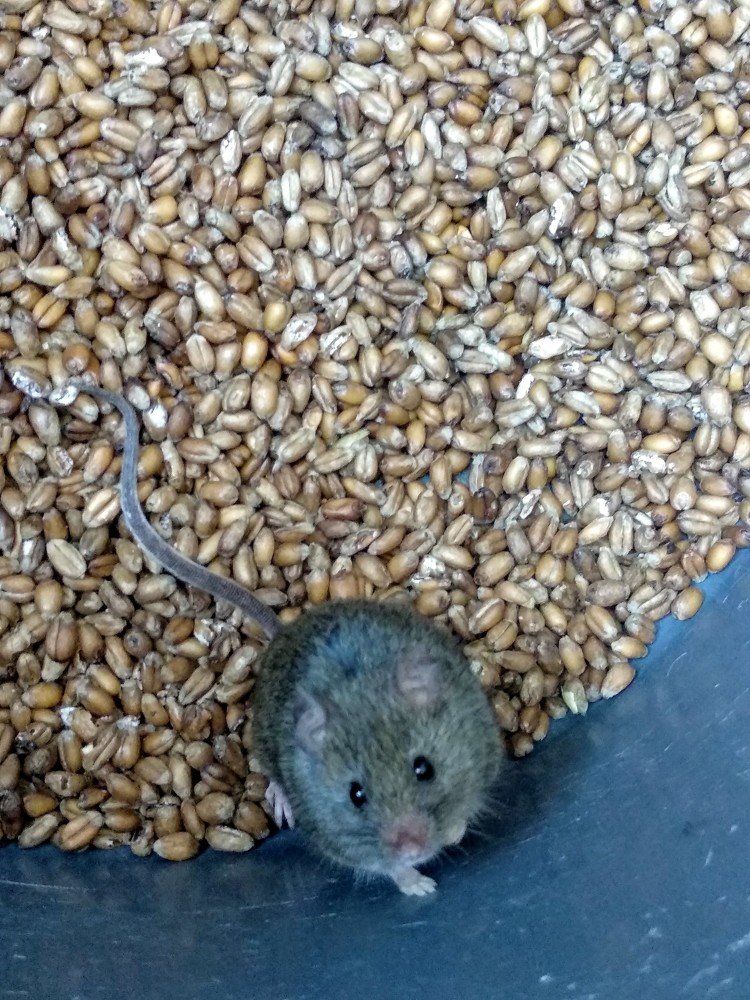 Photograph by Марина Мишина