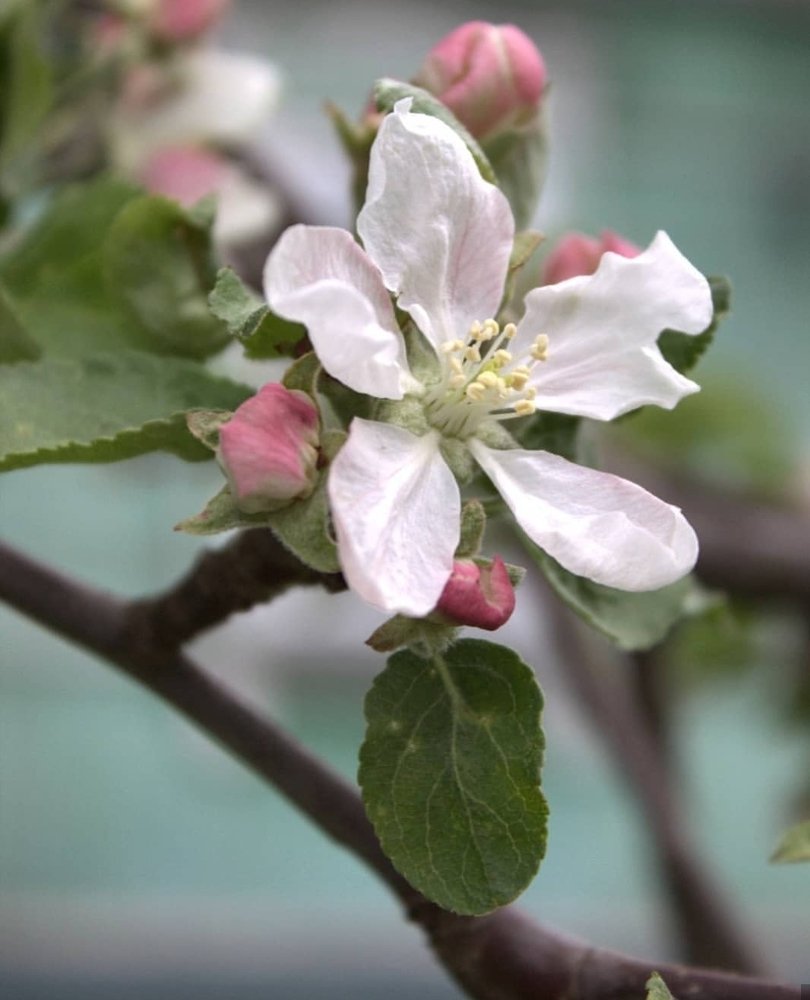 Photograph by Ирина Попкова