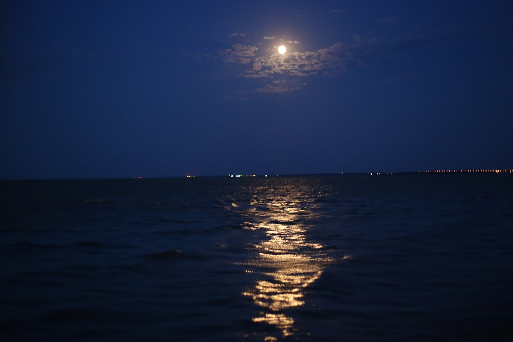 Photograph by Снежана Ященко