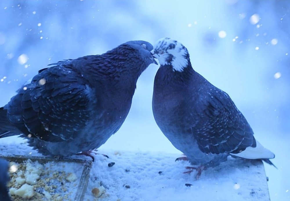 Photograph by Ирина Попкова