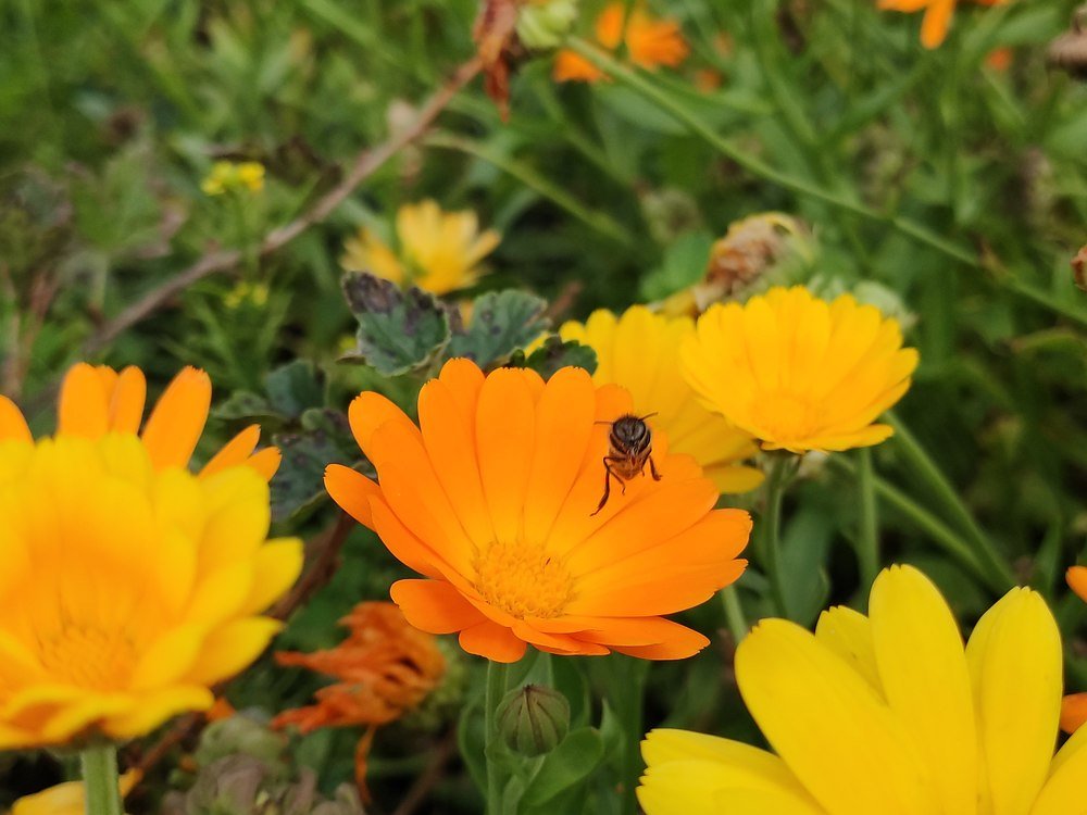 Photograph by Денис Пономарёв