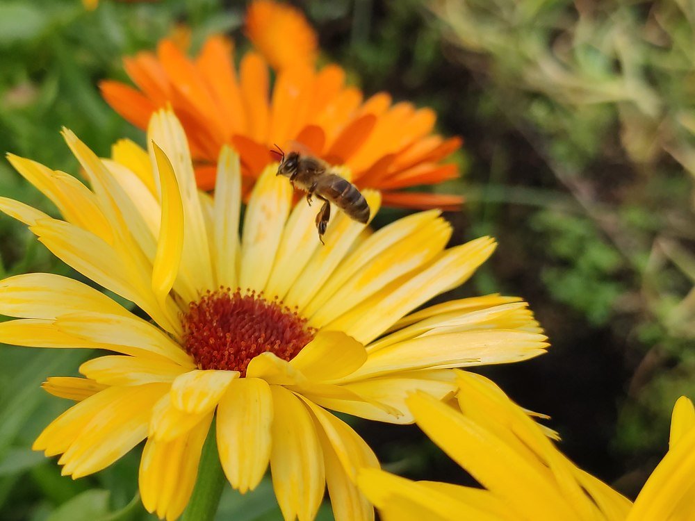 Photograph by Денис Пономарёв