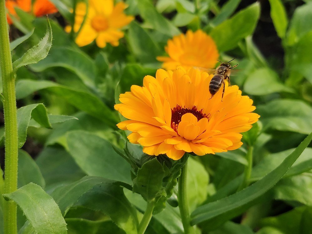 Photograph by Денис Пономарёв