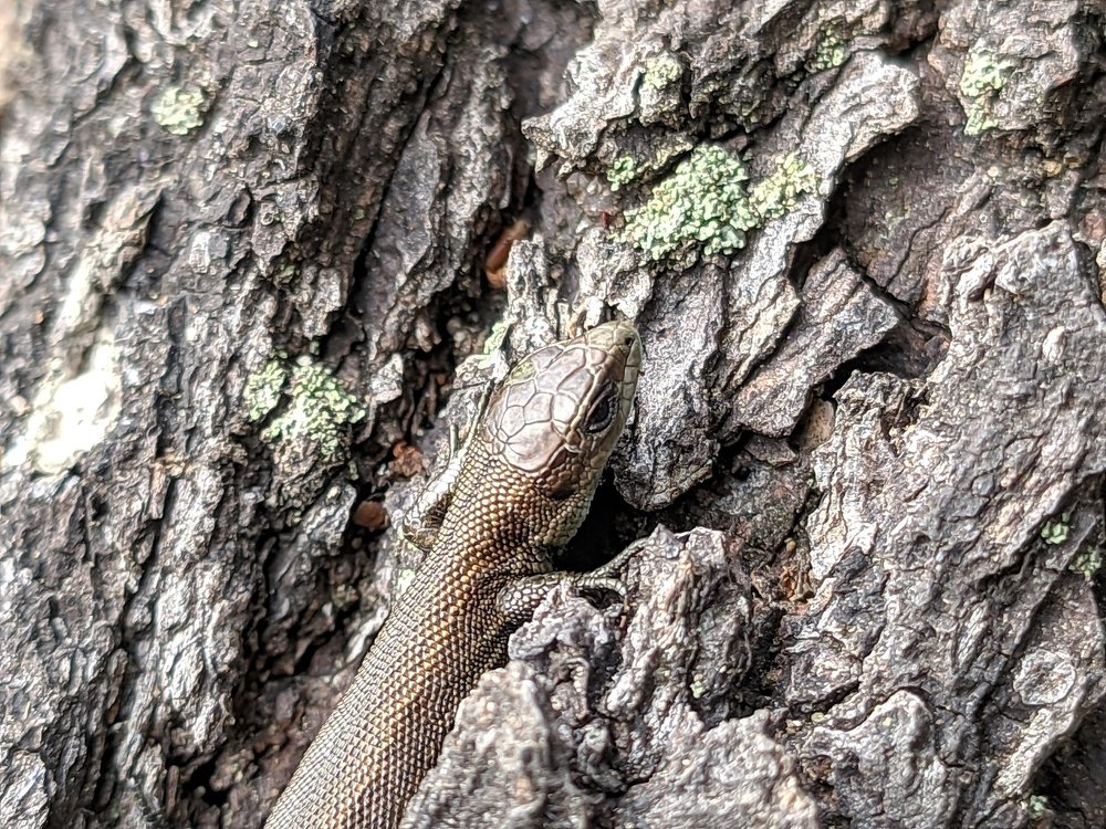 Photograph by Денис Пономарёв