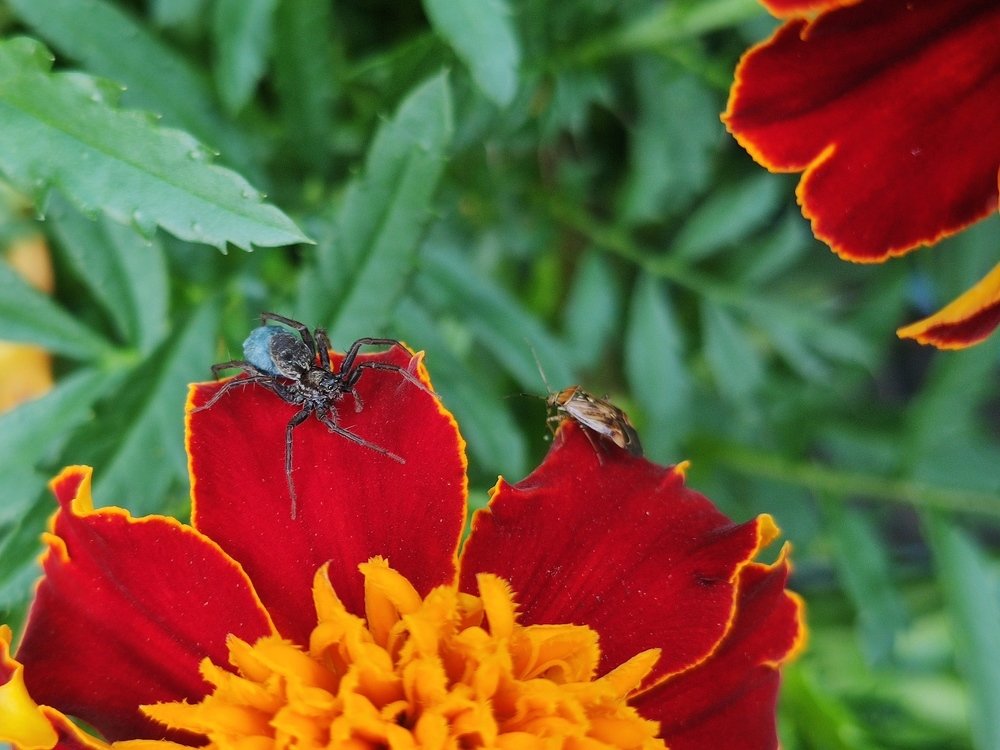 Photograph by Денис Пономарёв