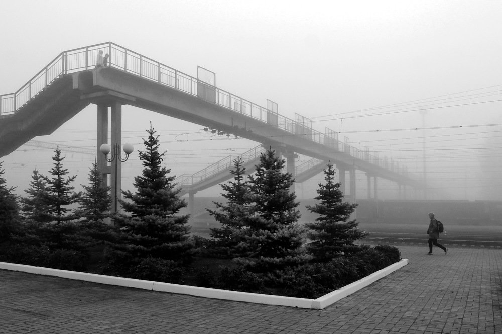 Дорога в туман