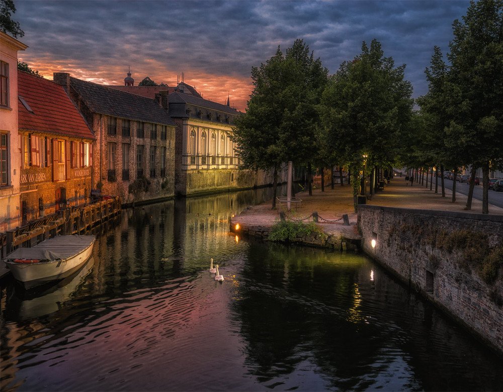 Лебеди вечернего Брюгге