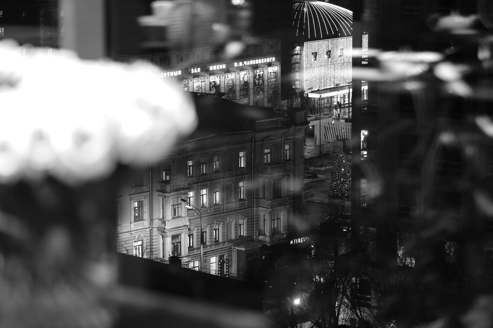 Фотография автора Наталья Васько -Черданцева