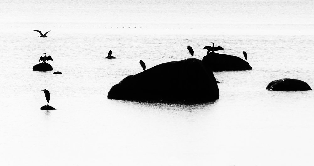 Фотография автора Юрий Макаров