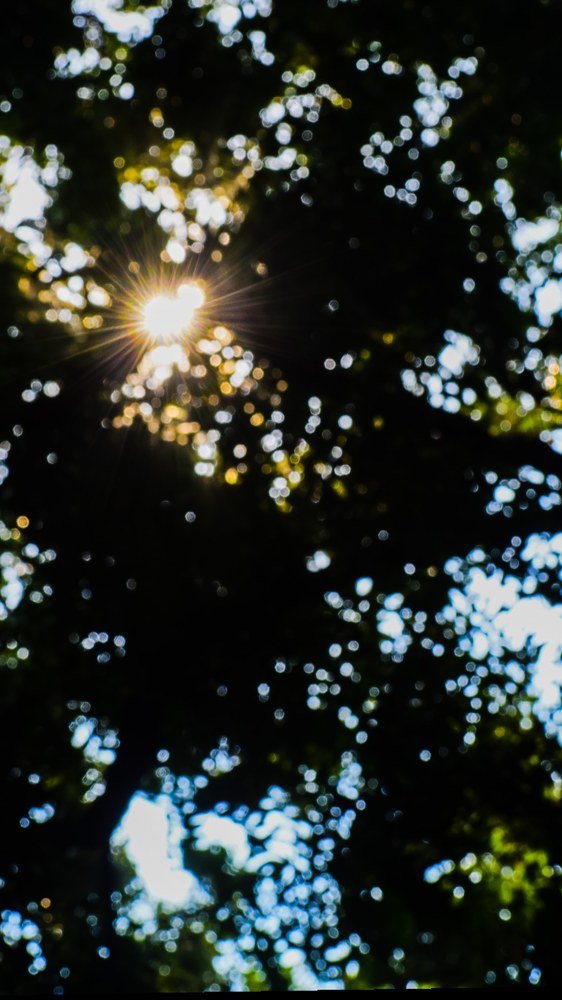 Photograph by SANCHARI SEN