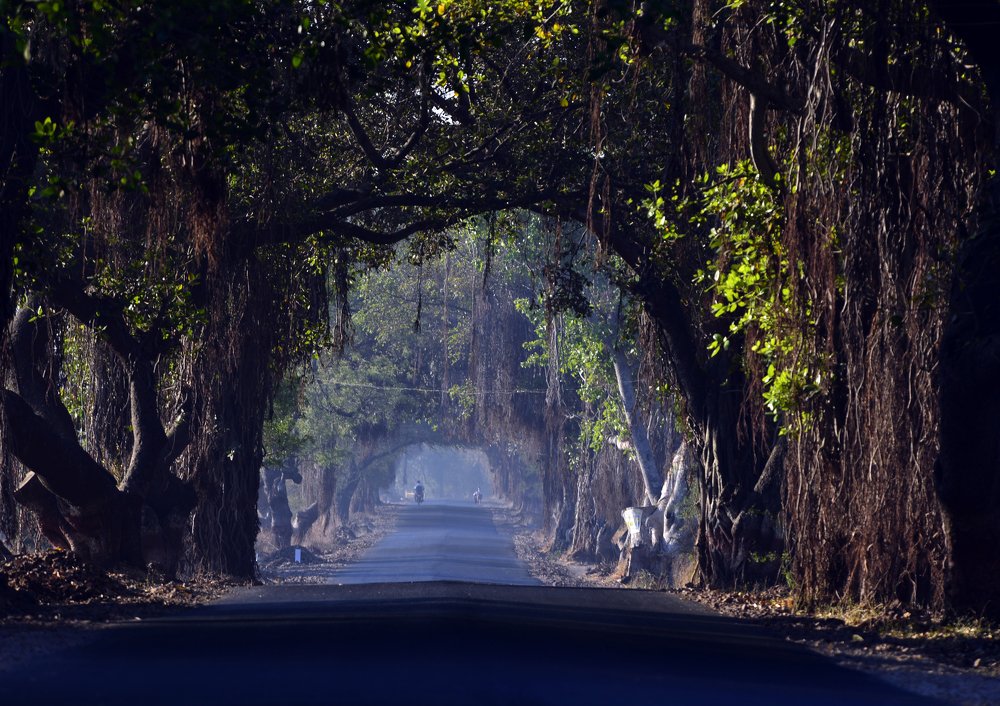 Photograph by prashant kharote