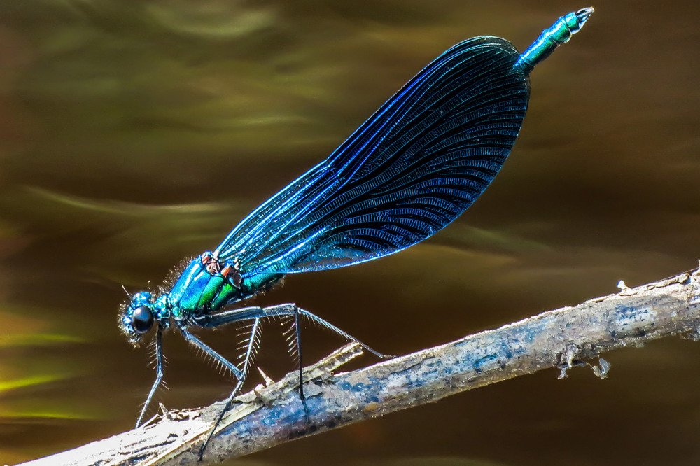 Photograph by Евгения