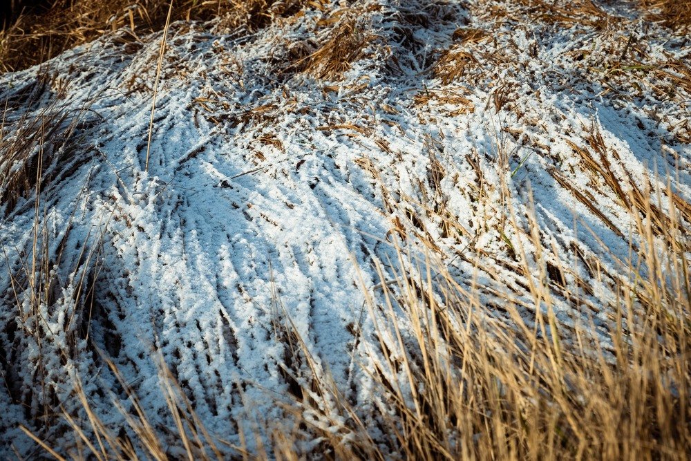 Фотография автора Dmitriy Sotnikov