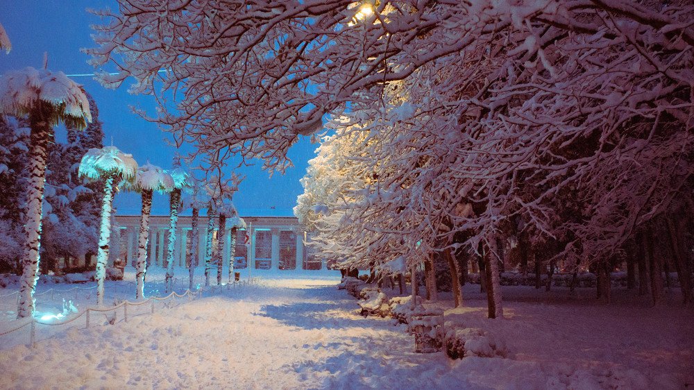 Photograph by Sophio Butskhrikidze