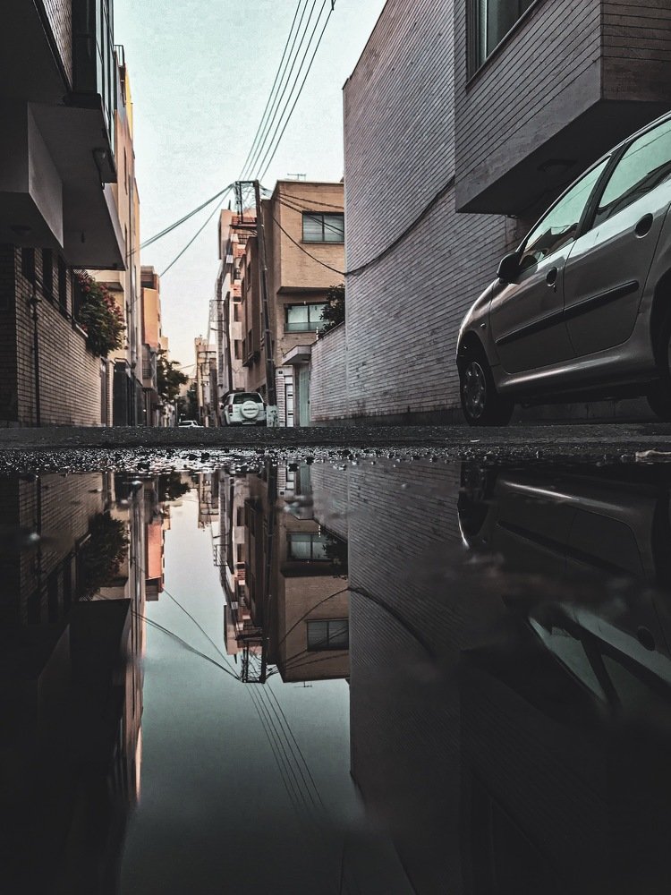 Photograph by Diba Dokht Goharian