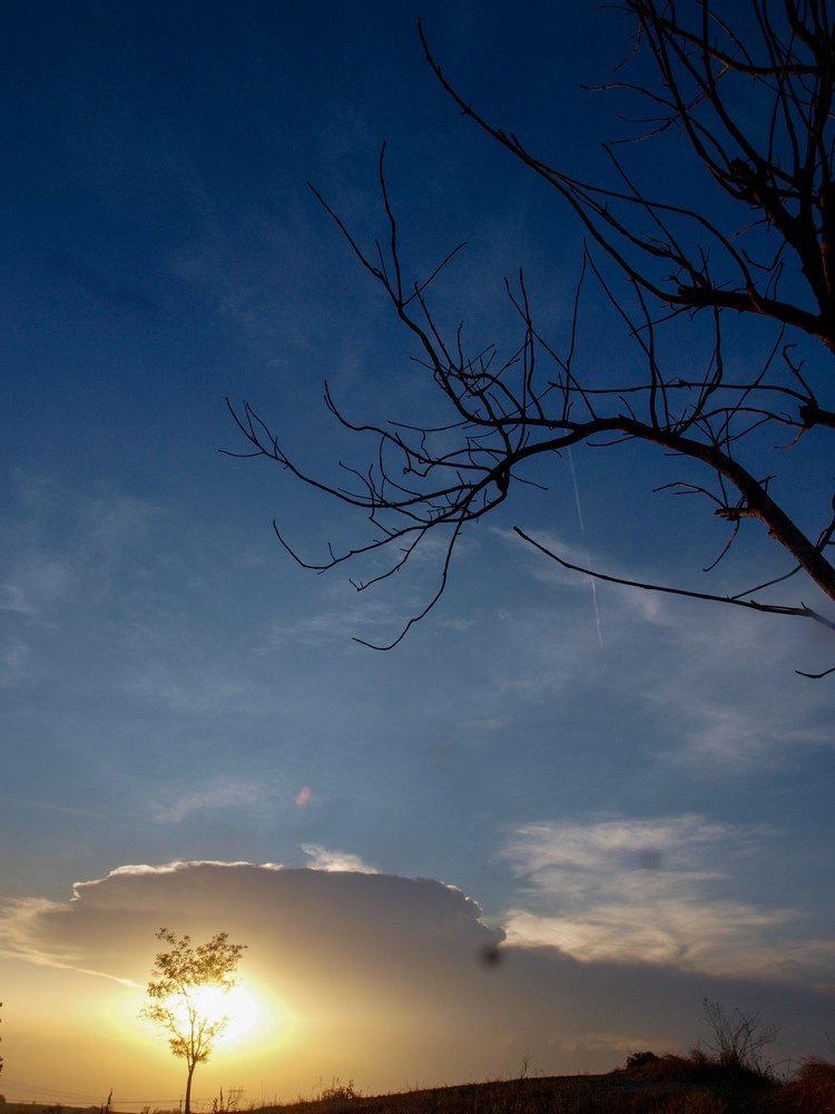 Bukit pinggul