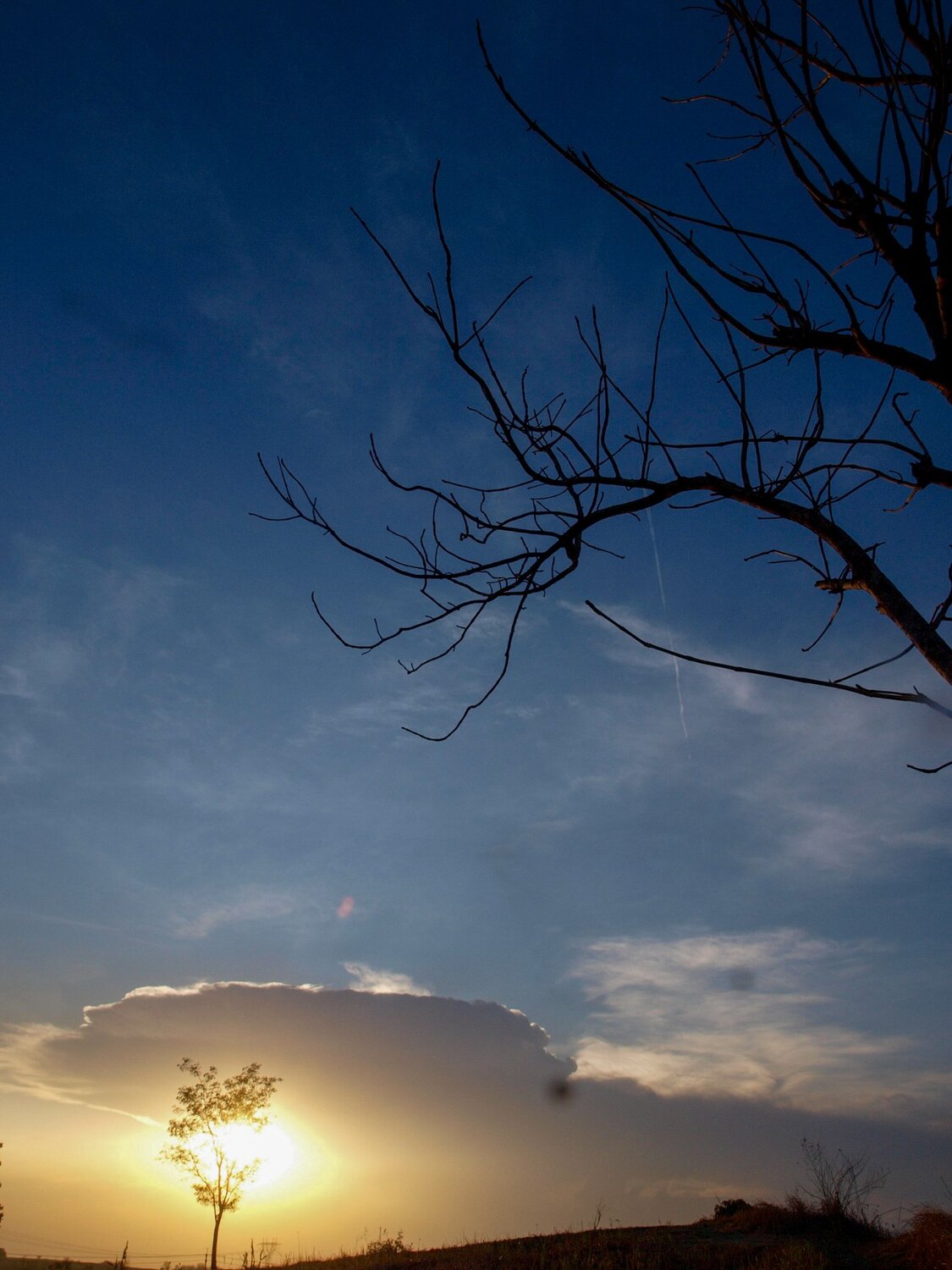 Bukit pinggul