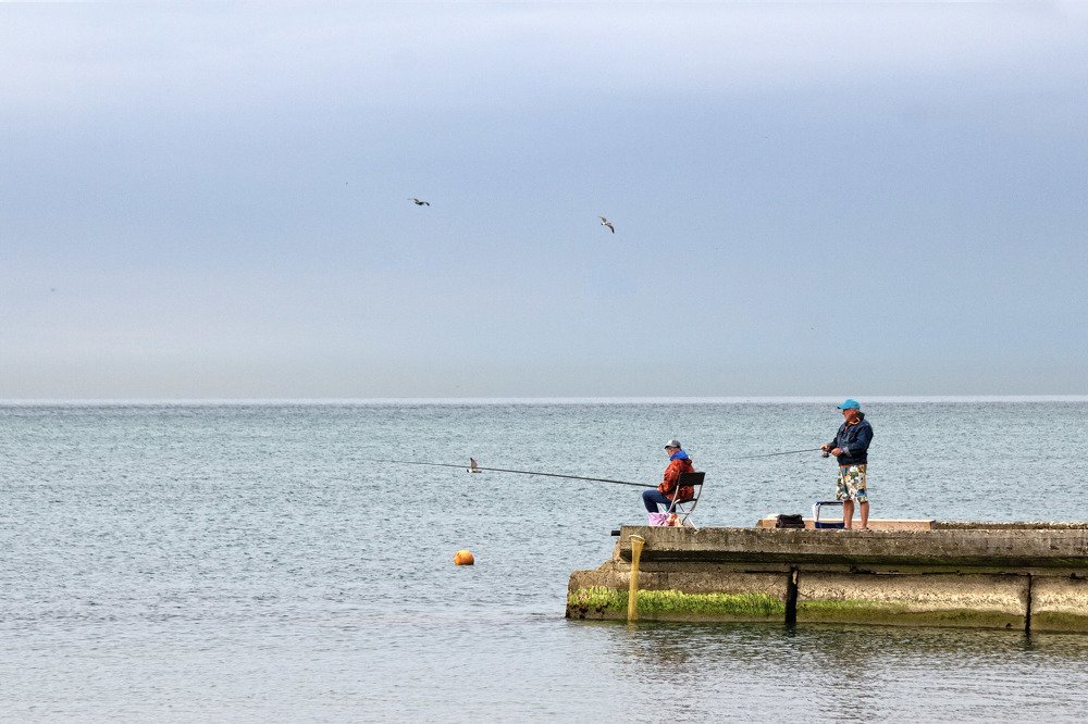 У Черного моря!