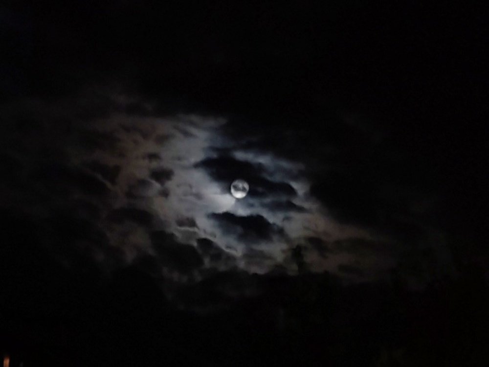 Photograph by Денис Пономарёв