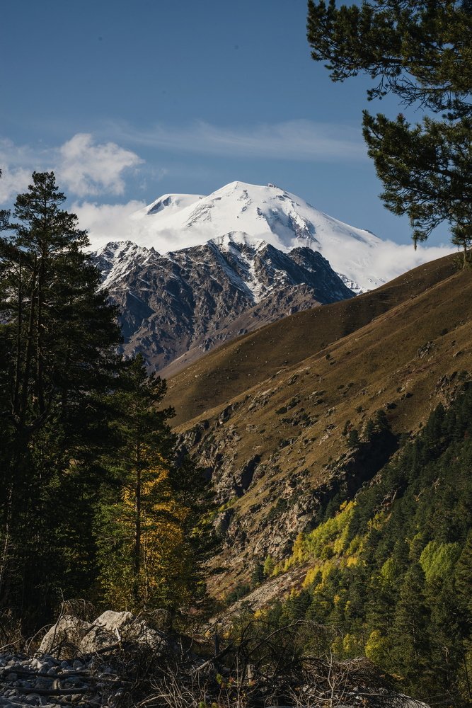 Photograph by Александра Москвичева