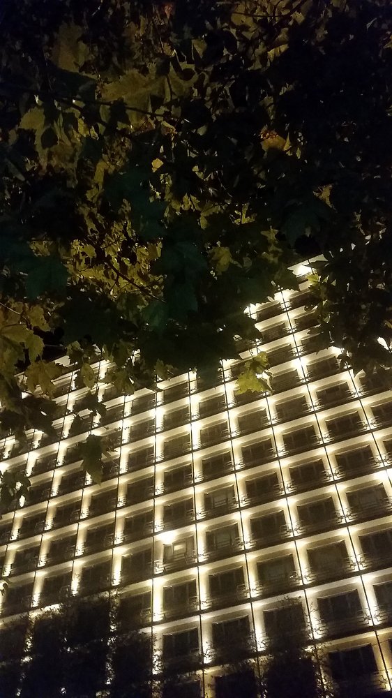 Photograph by Марина Рафаелян