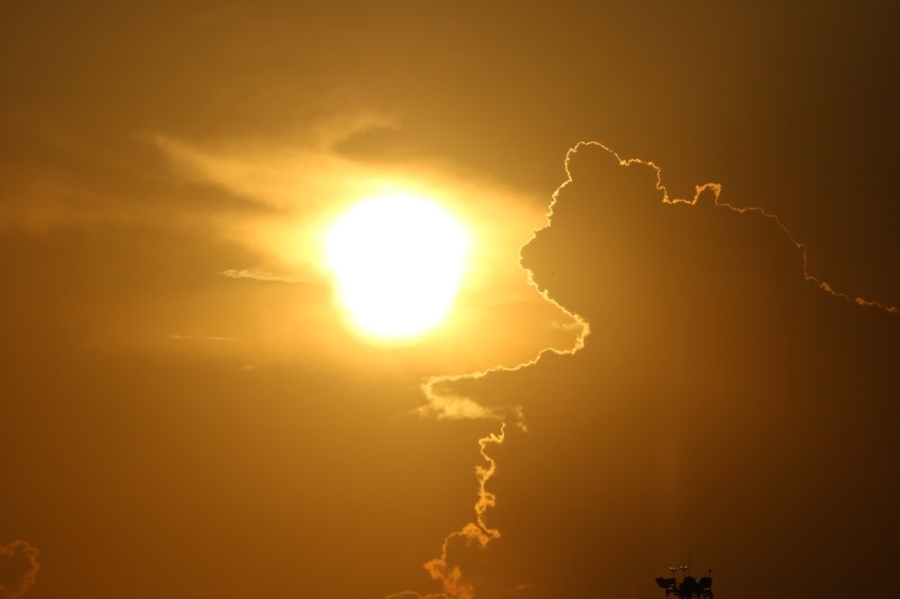 Cloud bear