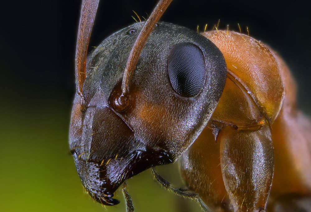 Photograph by Павел Сагайдак