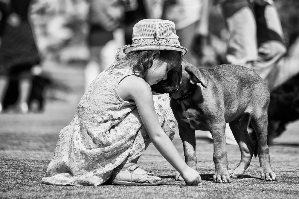 Photograph by Ирина Корх