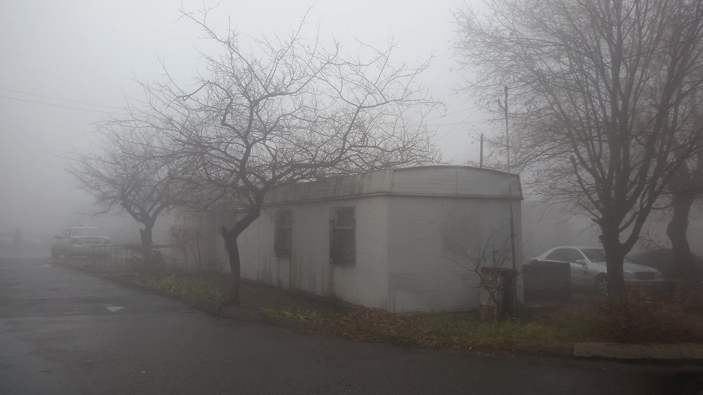 Photograph by Марина Рафаелян