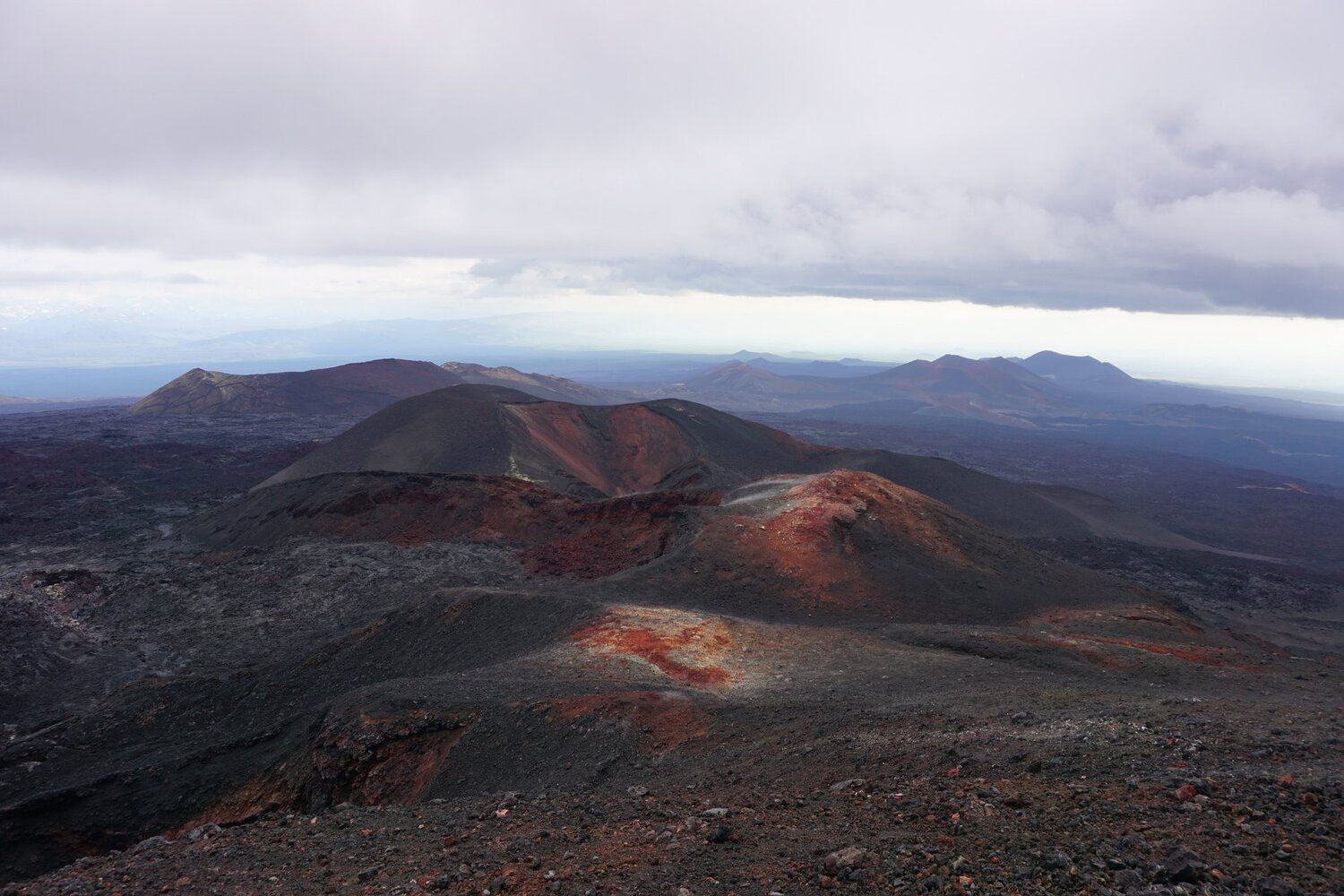Photo #3987304
