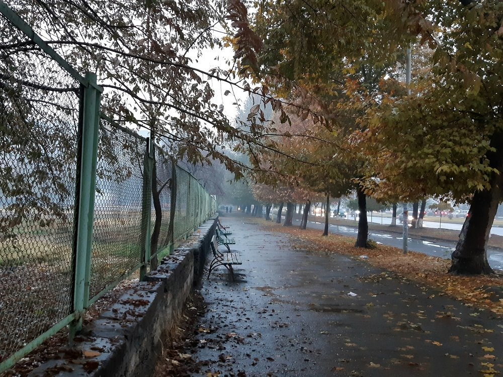 Photograph by Марина Рафаелян